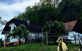 Cria Valley Alpacas